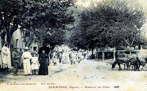 2396- Zemmorah - Avenue des Flittas - 1907